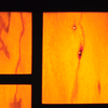 cherry windows