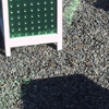 click here to to visit point rays