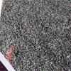 click here to visit point rays