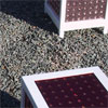 click here to visit point rays